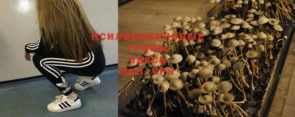 скорость Лиски