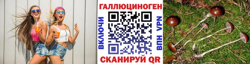 Псилоцибиновые грибы Psilocybe  Данилов 