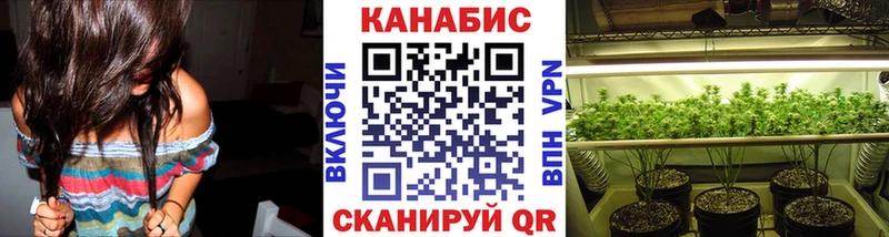 Бошки марихуана ГИДРОПОН  даркнет сайт  Данилов 